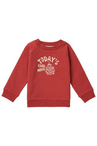 Noppies Pullover Toast - Tandori Spice