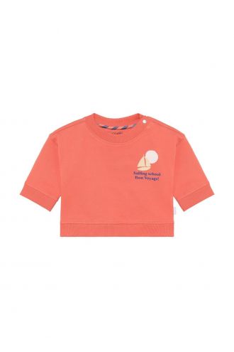 Noppies Baby Sweater - backprint - Burnt Sienna