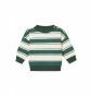 Noppies Baby Sweater Graveson - Garden Topiary thumbnail