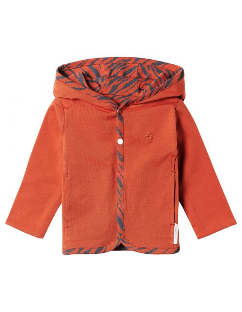Noppies Cardigan Amangu - Spicy Ginger