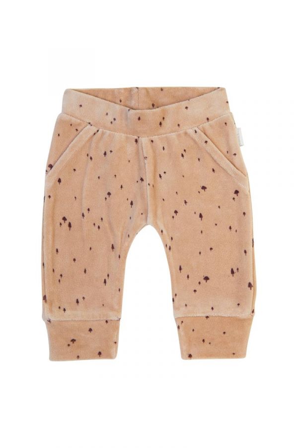 Broek Givrand Mushroom