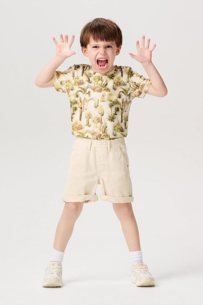 Noppies Kids T-shirt Decherd - Whisper White