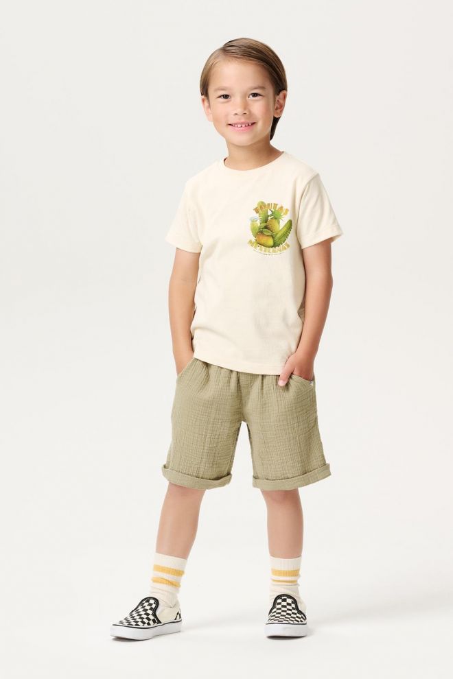 Noppies Kids T-shirt Lepanto - Fog