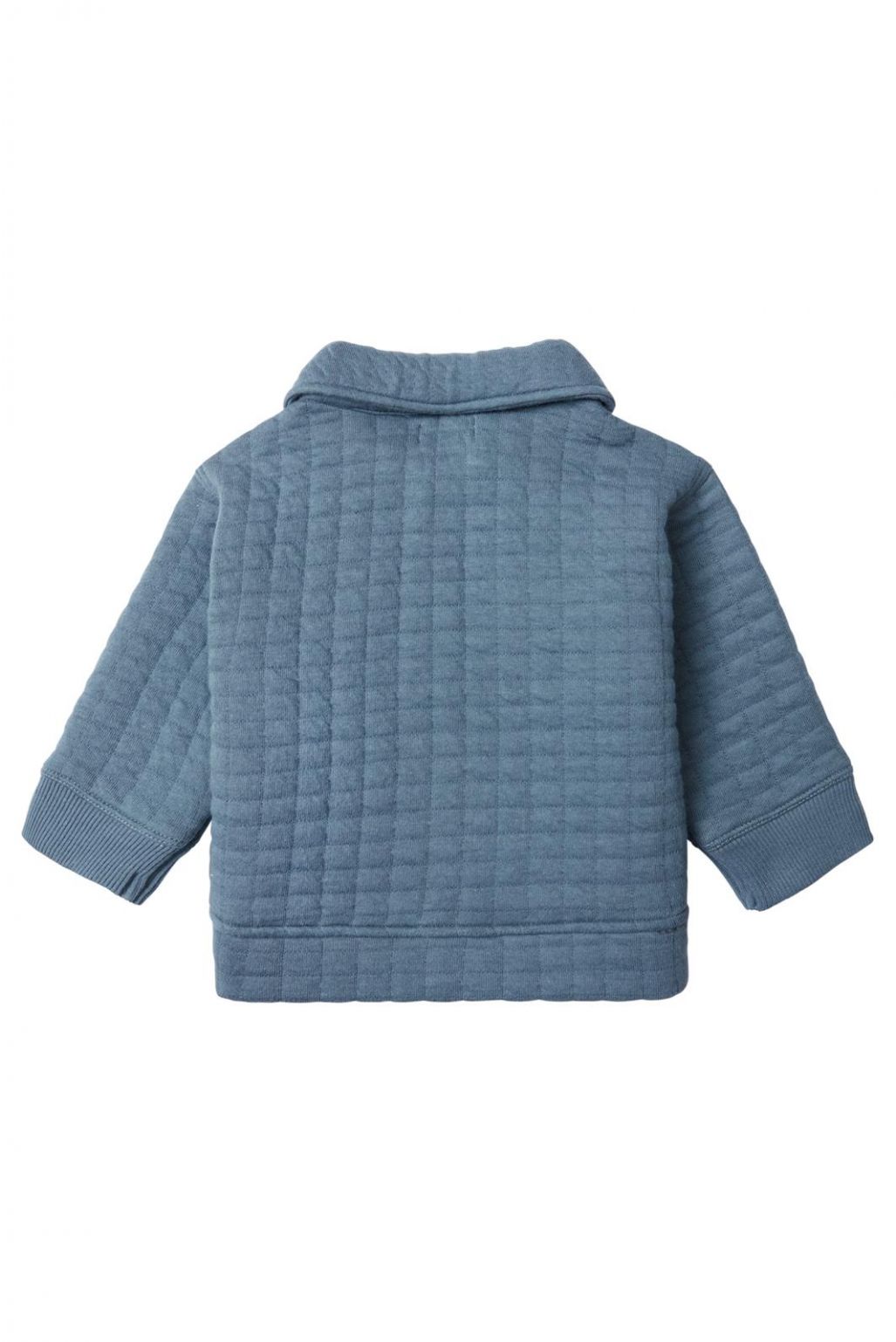 Noppies Baby Langarmshirt Bladenboro - Blue Mirage