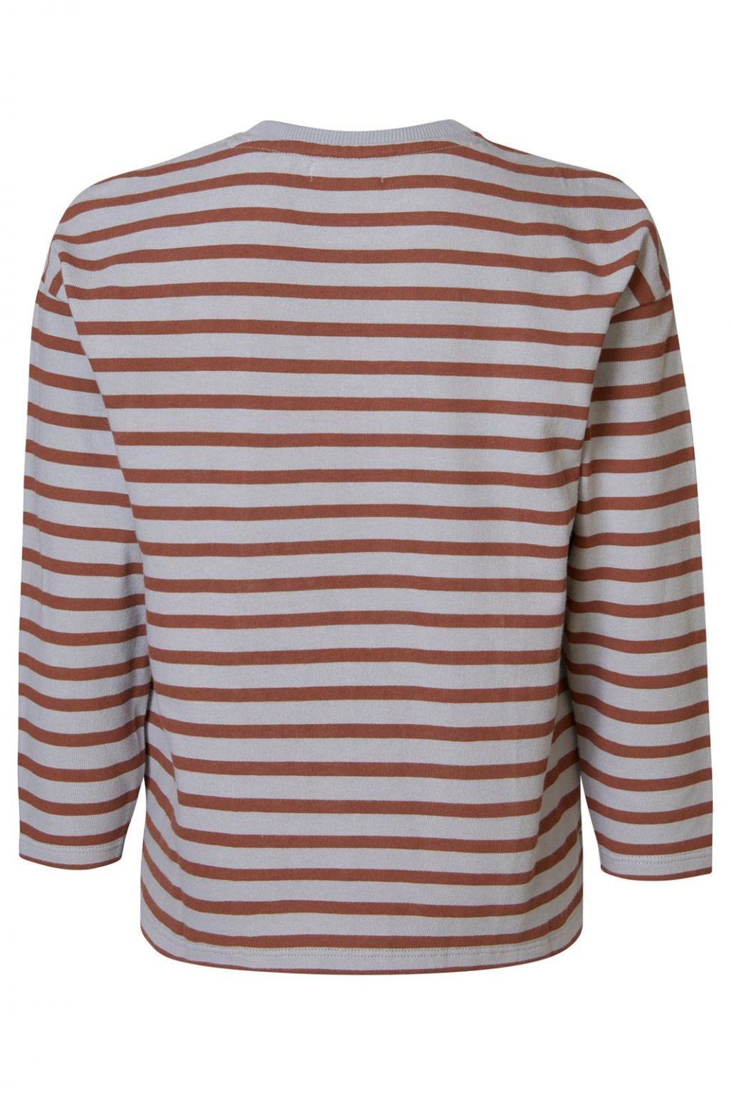 Noppies Kids T-shirt manches longues Hemet - Silver  Scone