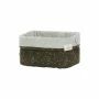 Noppies commode mandje Botanical Size M - 23x15x19cm - Beetle