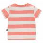 Noppies T-shirt Marshall - Fresh Salmon