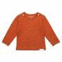 Noppies Longsleeve Kris - Spicy Ginger