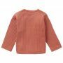 Noppies Langarmshirt Abrish - Cedar Wood