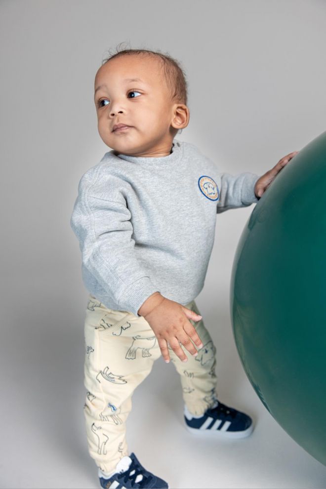 Noppies Baby Longsleeve Starbuck - Grey Melange