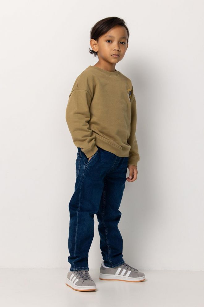 Noppies Kids Sweater Ray - Backprint - Dried Herb